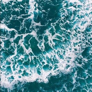 Meet your Posher, Hal